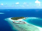 Туры на Мальдивы: подводный мир на Мальдивских островах