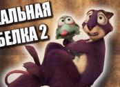 Реальная белка 2