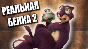 Реальная белка 2