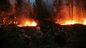 Новости сибирского региона: читать онлайн